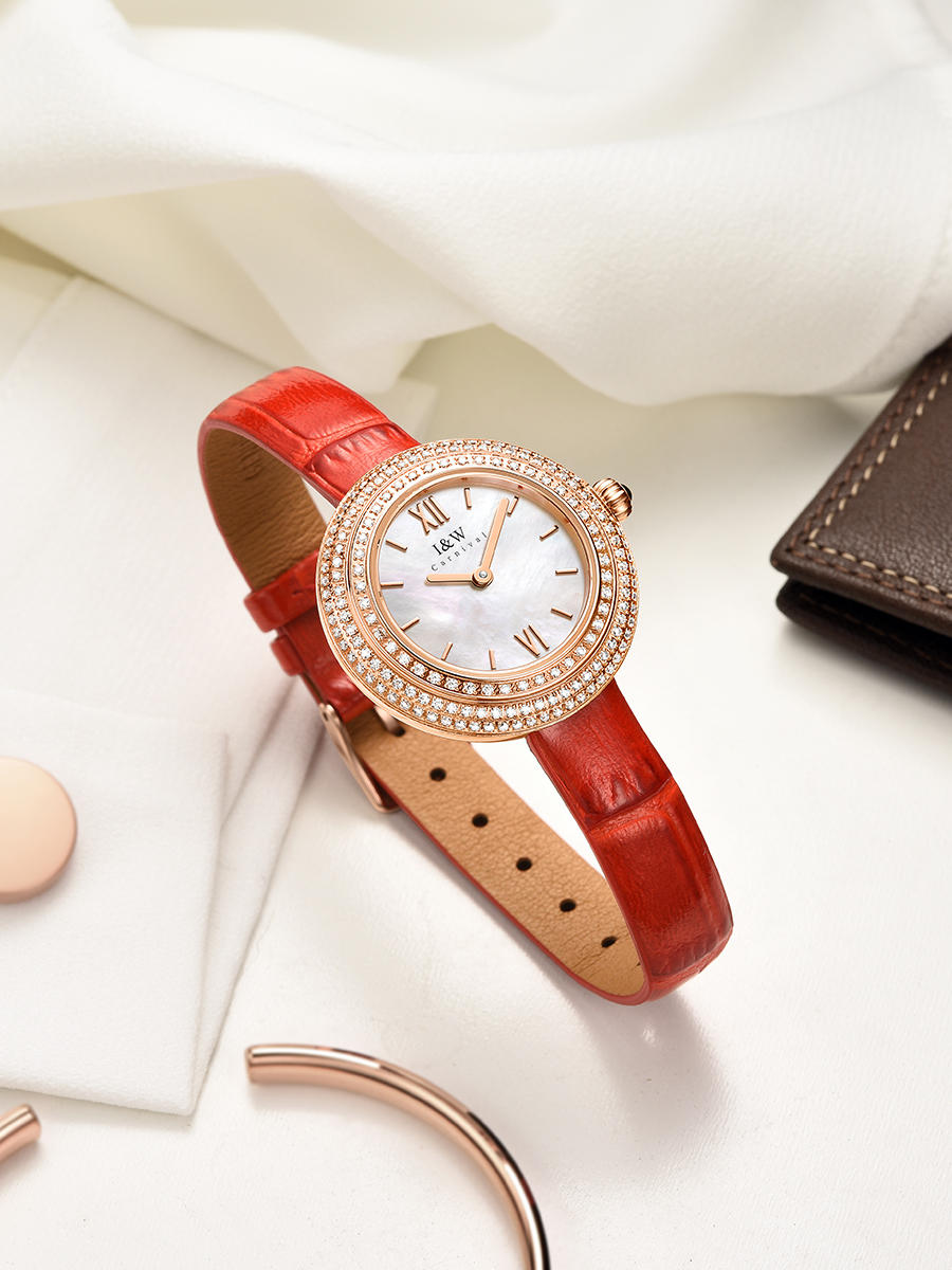 Svizzera Luxury Brand I&W Carn - Luxury Watch Japan Brand recensione e prezzo